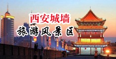 熟妇的淫穴中国陕西-西安城墙旅游风景区
