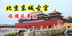 插我啊鸡巴好大啊啊啊啊视频中国北京-东城古宫旅游风景区
